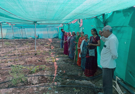 From Backyard Pits to Thriving Fields: Partnering with Anjali to Grow Rural Women’s Futures