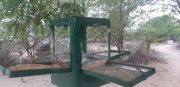 Feeders are built and placed throughout the village to help feed birds and small animals.