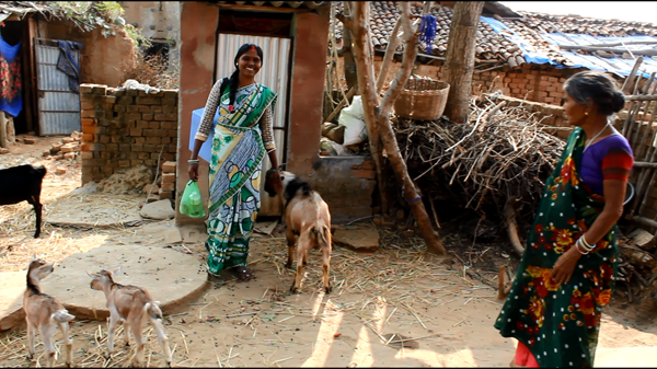 Jogni Devi works as the designated Pashu Sakhi to keep goats and other livestock healthy and profitable.